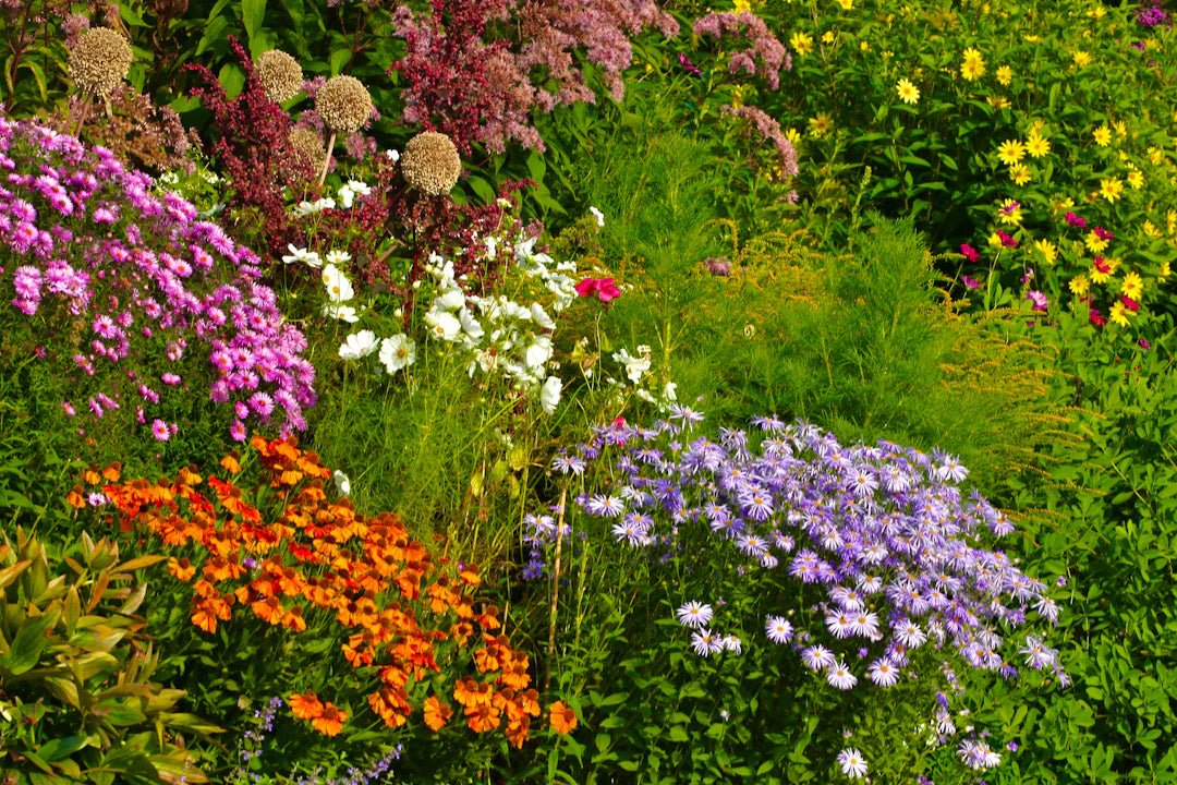 Gardening for Your Skin: Grow Your Own Skincare Ingredients - KAM Family Botanics By Kesha