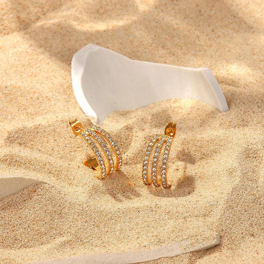 Classic Shine Hoop earrings - KAM Family Botanics By Kesha