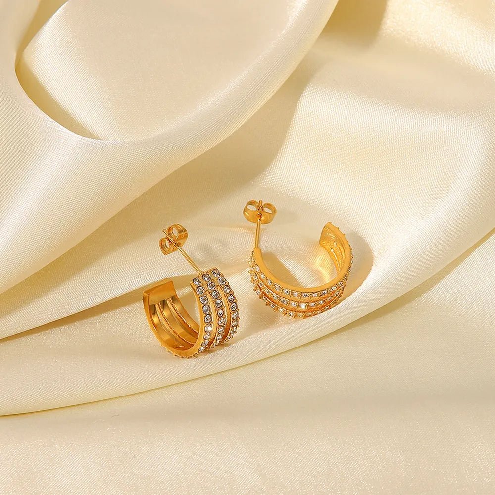 Classic Shine Hoop earrings - KAM Family Botanics By Kesha