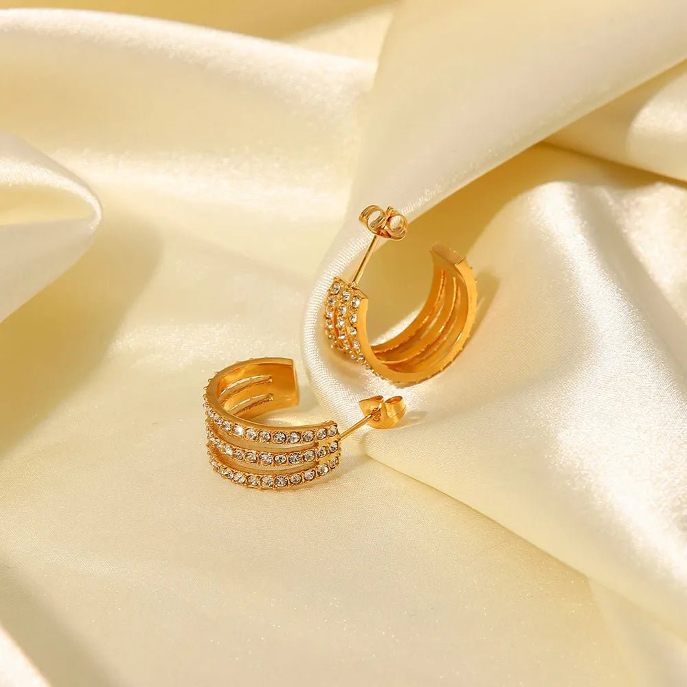 Classic Shine Hoop earrings - KAM Family Botanics By Kesha