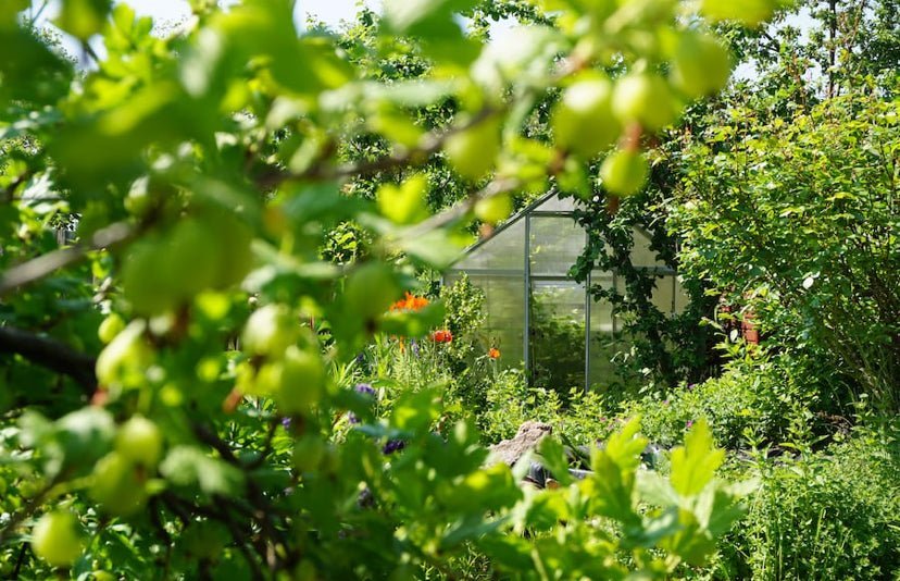 Building A Foundation - Words of Encouragement - KAM Family Botanics