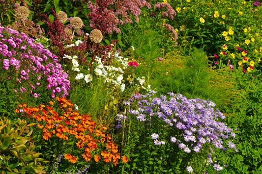 Gardening for Your Skin: Grow Your Own Skincare Ingredients - KAM Family Botanics By Kesha