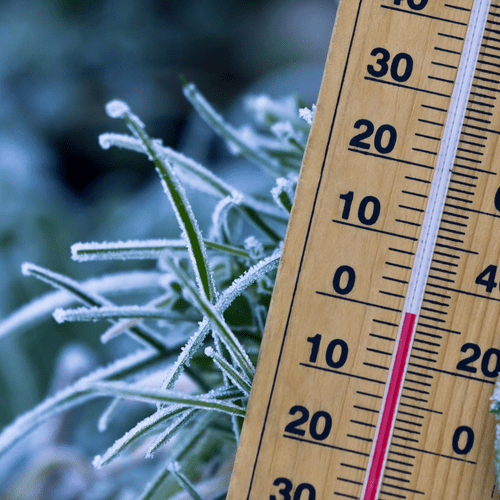 Harsh Cold Weather and the Effects On Your Skin - KAM Family Botanics