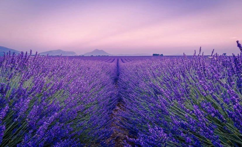 Herbal Poetry: A DASH OF CAYENNE - KAM Family Botanics