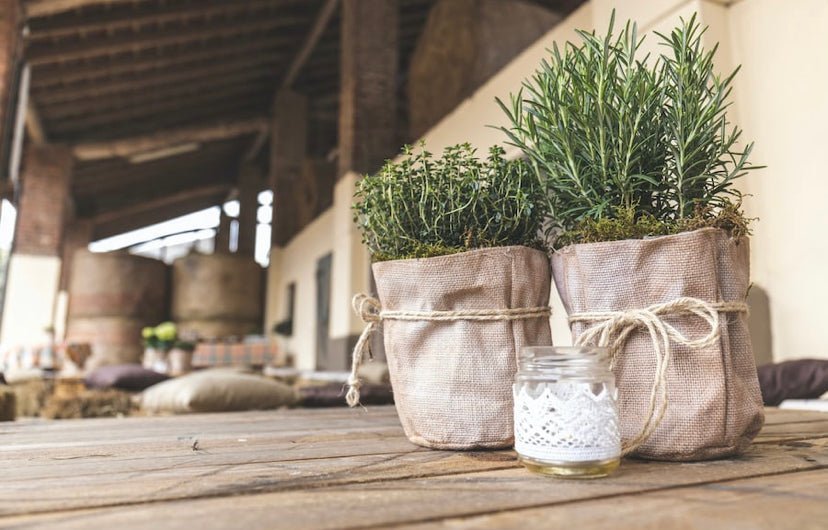 The Power Of Plants To Transform Your Hair - KAM Family Botanics