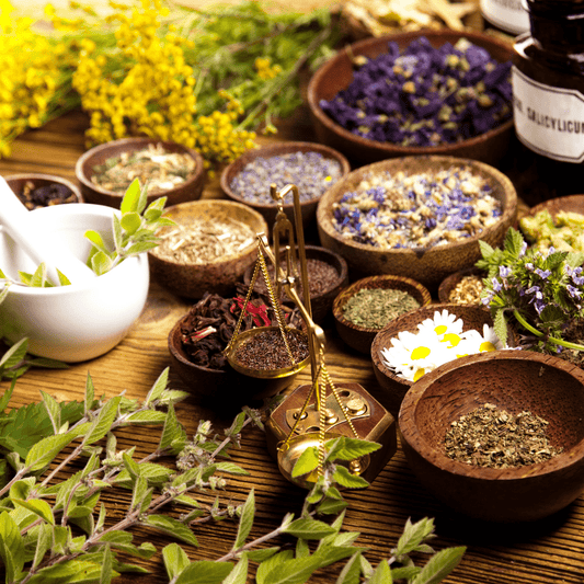 The Science Behind Plant-Based Beauty: Nature's Best Secrets - KAM Family Botanics