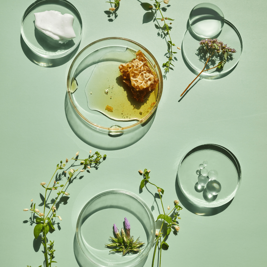 Unlock the Secrets of Vegan Skincare Science - KAM Family Botanics