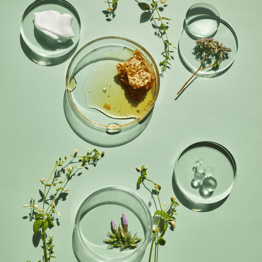 Unlock the Secrets of Vegan Skincare Science - KAM Family Botanics