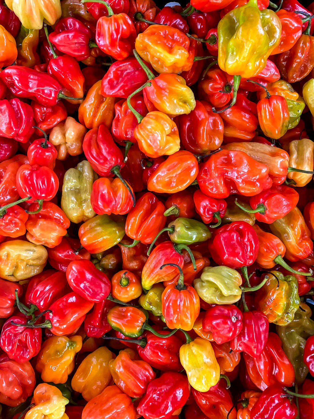 Unlock Your Hair's Potential: Crafting Organic Haircare Products at Home - KAM Family Botanics