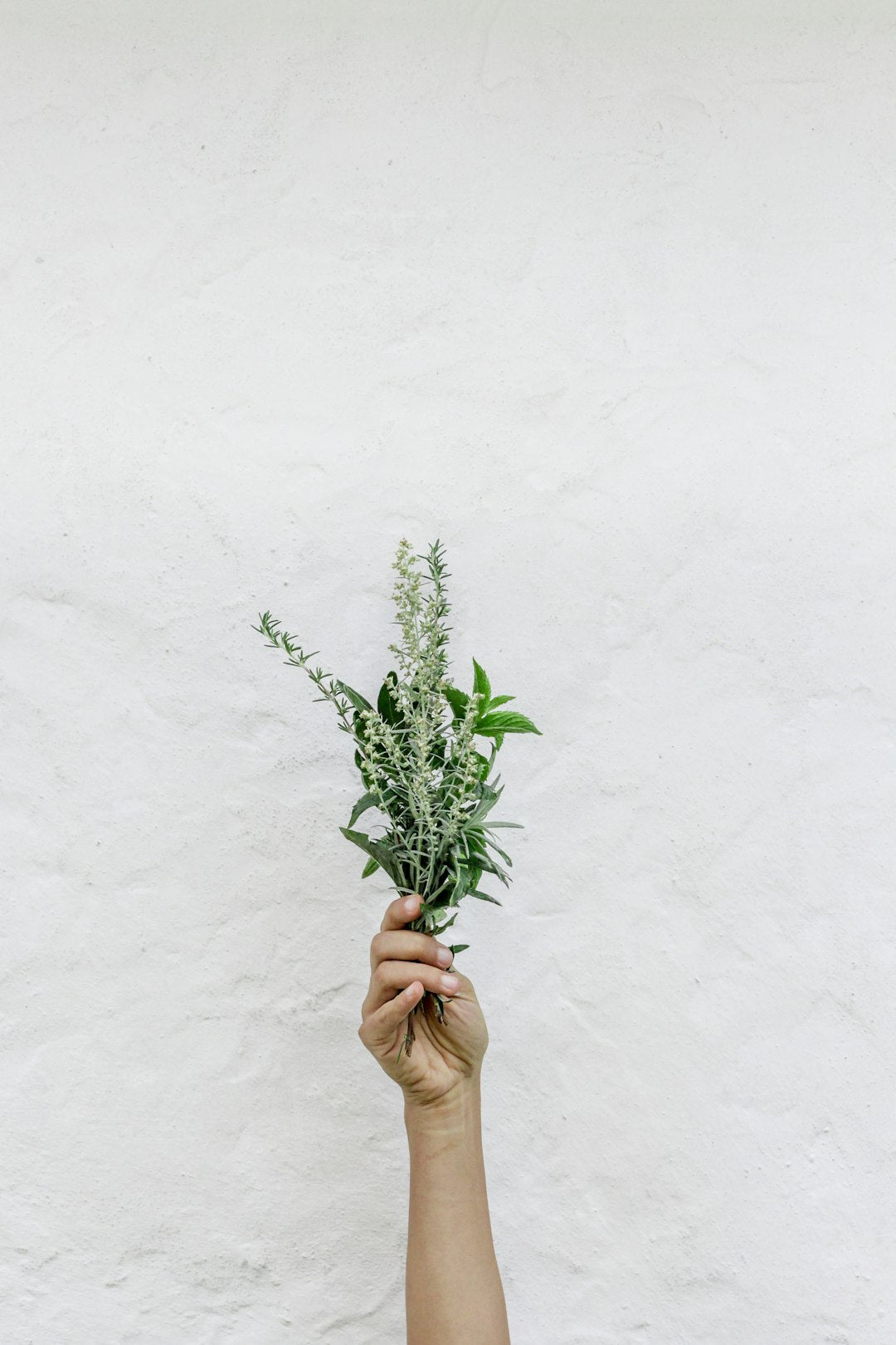 Unlock Your Radiance: Herbal Infusions for Glowing Skin - KAM Family Botanics