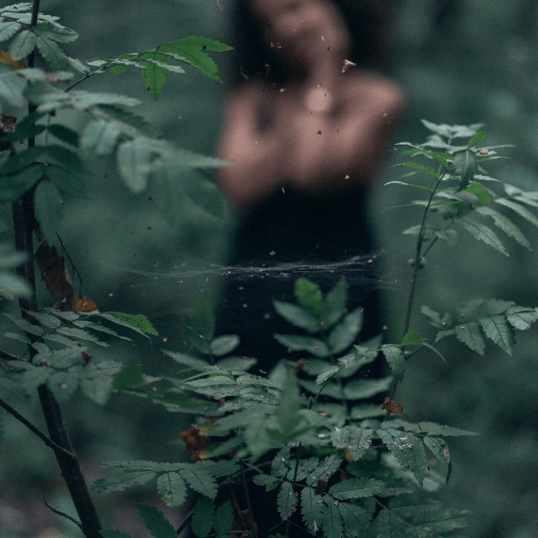 Unlocking the Beauty of Plant-Based Cosmetics - KAM Family Botanics