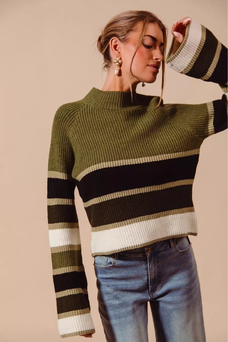 Chic Multi Color Striped Mock Neck Sweater - KAM Family Botanics