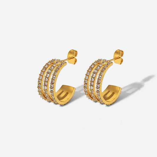 Classic Shine Hoop earrings - KAM Family Botanics By Kesha