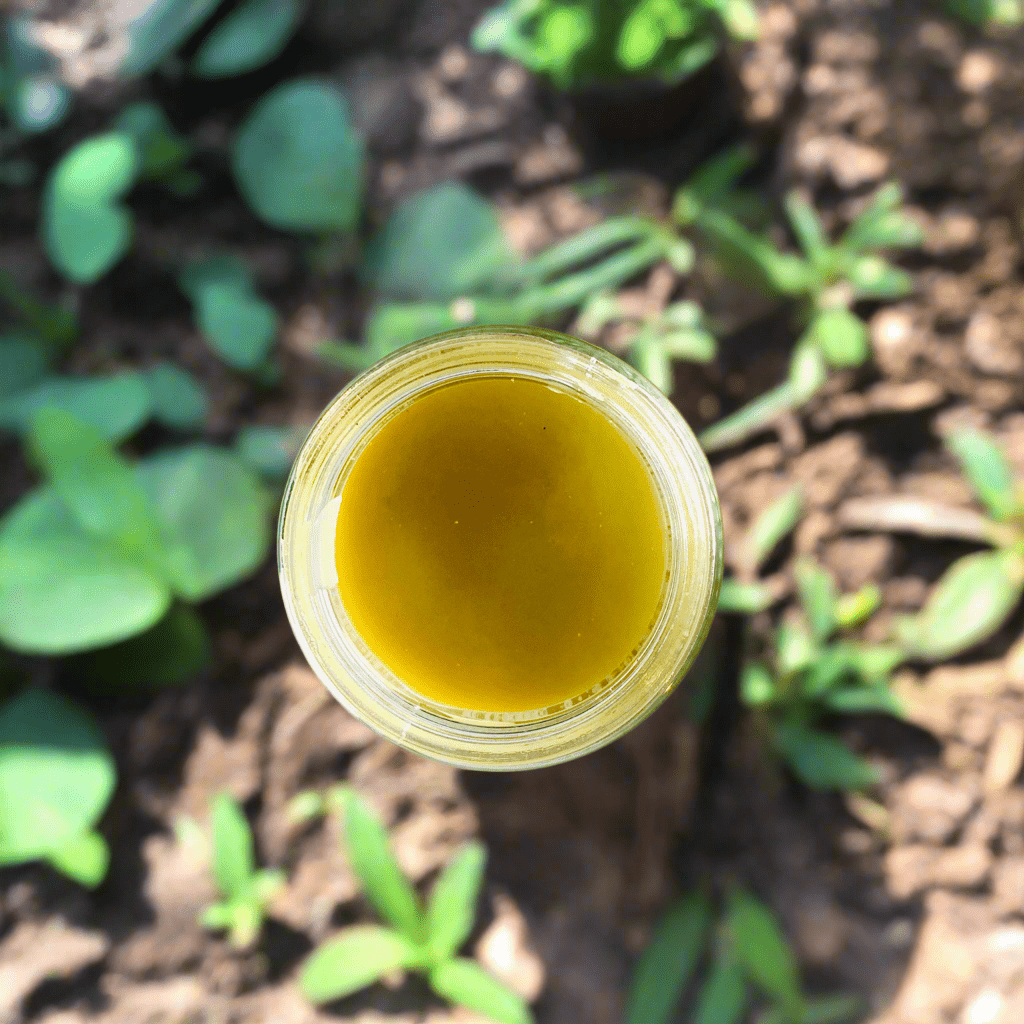 Earthbound Back To The Roots Hair & Scalp Pomade - KAM Family Botanics By Kesha