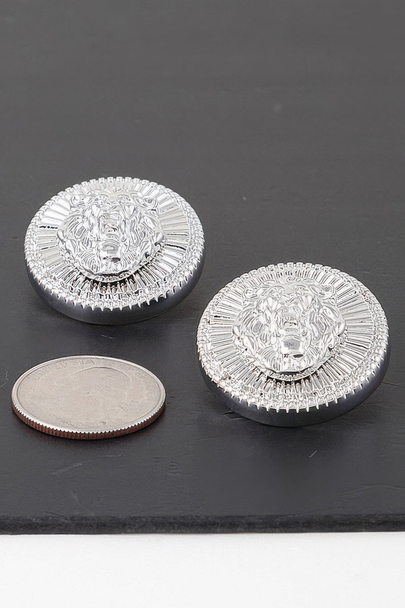 Grand Lion Emblem Earrings - KAM Family Botanics