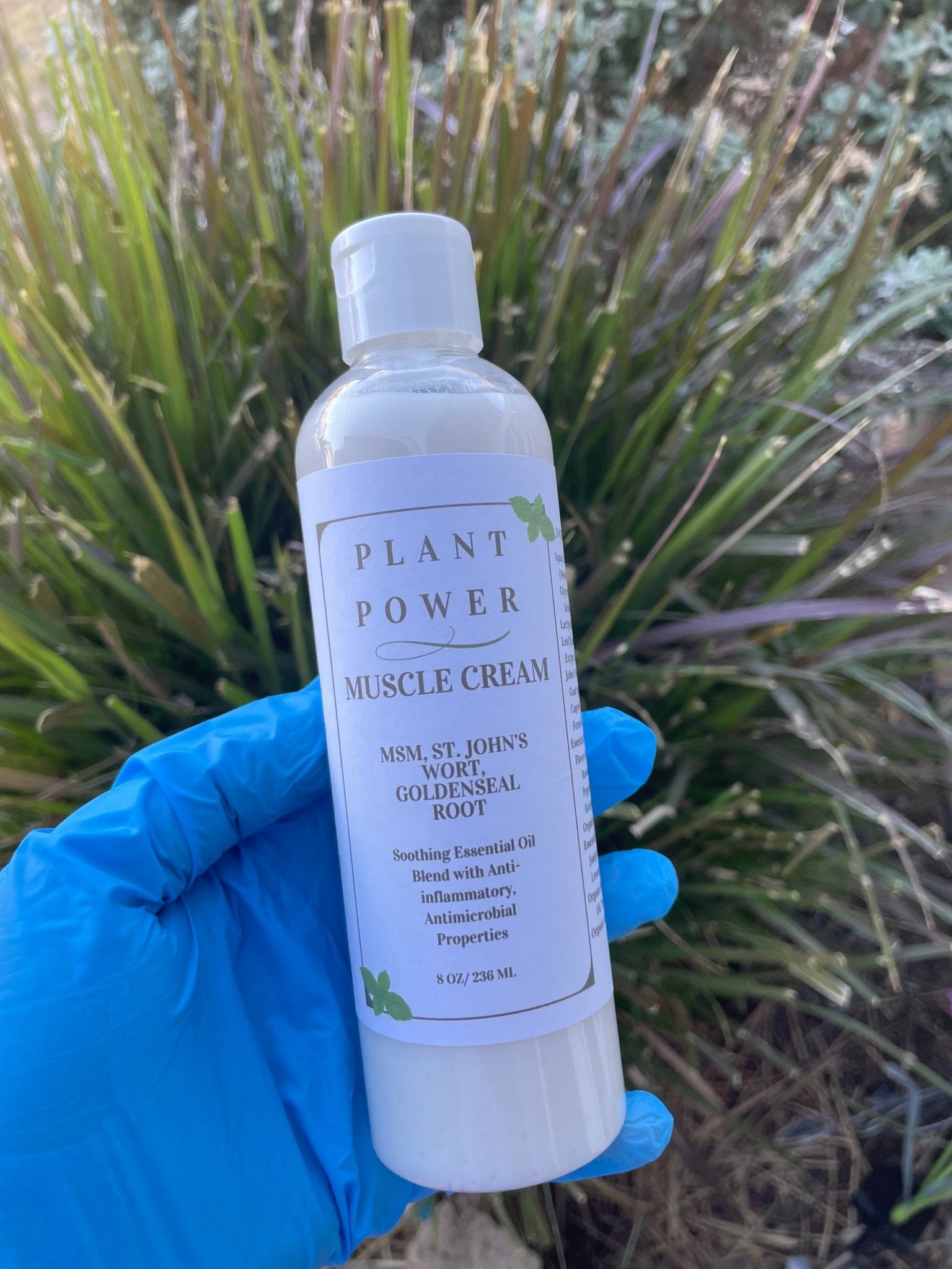 Plant Power Muscle Cream - KAM Family Botanics
