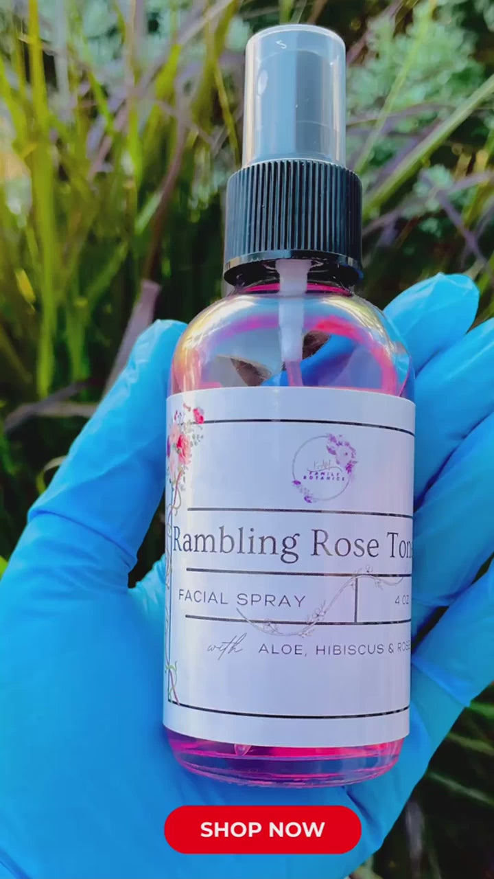 fallback text for a video