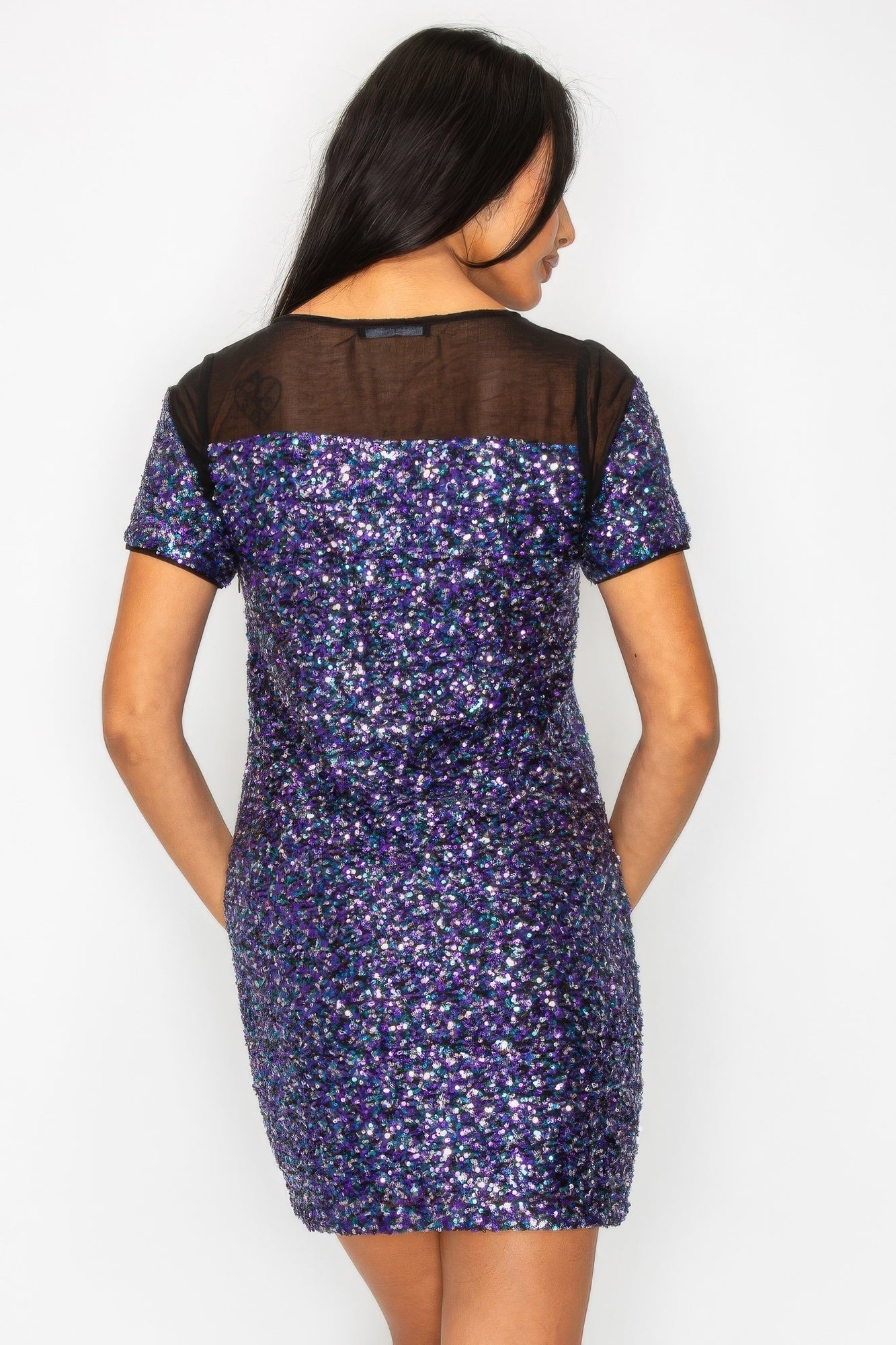 Sparkle Sequins & Mesh Cap Sleeve Mini Dress - KAM Family Botanics